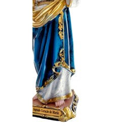 Imagem Sagrado Coração de Maria Detalhista Resina 20cm - 6