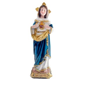Imagem Sagrado Coração de Maria Detalhista Resina 20cm
