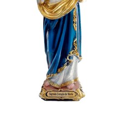Imagem Sagrado Coração de Maria Detalhista Resina 20cm - 3