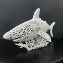 Ver imagem 4 de Estatueta Shark Tubarão Foco Predador Decoração Moderna Luxo