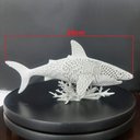 Ver imagem 2 de Estatueta Shark Tubarão Foco Predador Decoração Moderna Luxo