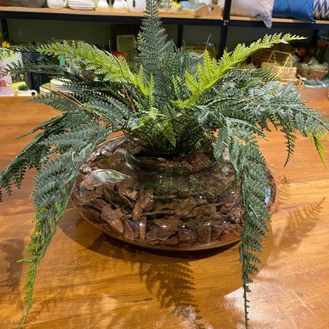 Arranjo Centro Mesa Grande Samambaia E Vaso Vidro Completo