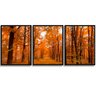 Quadro Decorativo Floresta Laranjada Para Sala Quarto - 1
