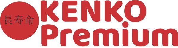 Colchão Queen Kenko Premium  Magnético  Basic com Massagem Eletrônica Energia Bioquãntica 1 - 8