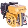 Motor a Gasolina 4 Tempos 6,5hp 196cc Buffalo 60600 60600 - 1