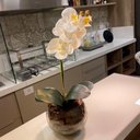 Ver imagem 1 de Orquídea Toque Real Branca Artificial Arranjo no Vaso Transparente Flores Permanentes