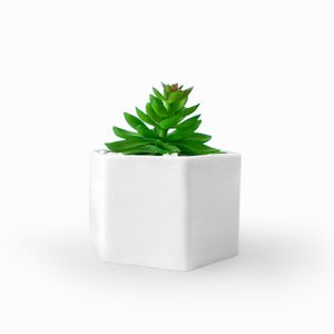 Mini Suculenta Artificial Com Vaso Cerâmica Branco - ALPSU03