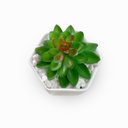 Ver imagem 2 de Mini Suculenta Artificial Com Vaso Cerâmica Branco - ALPSU03