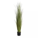 Ver imagem 1 de Planta Grass Permanente com Pote 1,5m Verde 2 Tons