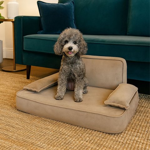 Caminha Cama Pet com Travesseiro para Cachorro e Gato  Capuccino - Bz Home Decor