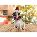 Ver imagem 2 de Fantasia Pet Natal Xadrez Gorro e Gola Luxo Guizo - Magizi