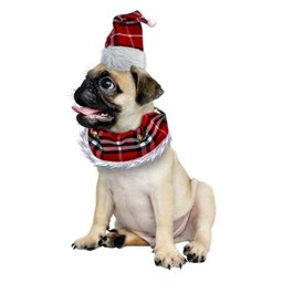 Fantasia Pet Natal Xadrez Gorro e Gola Luxo Guizo - Magizi - 1