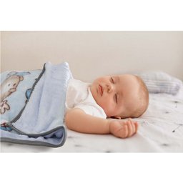 Cobertor Raschel para Berço 500g/m² 80x110cm Ursinho Realce Premium Sultan - 2