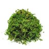 Musgo Artificial para Arranjos e Jardins 5 Litro - 2