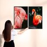 Quadros Decorativos Flamingos Moldura Sem Vidro - Branca - 3