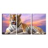 Quadro Decorativo 30x66 tigre ao pôr do sol - 1