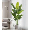 Ver imagem 1 de Bananeira Artificial Realista para Decoração Sala com 1.80m.