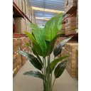 Ver imagem 5 de Bananeira Artificial Realista para Decoração Sala com 1.80m.