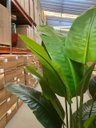 Ver imagem 6 de Bananeira Artificial Realista para Decoração Sala com 1.80m.