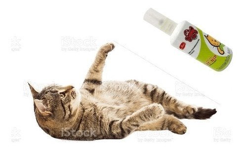Arranhador de Gato / Protetor De Sofá ( 2 unidades) e 1 Cat Nip:cinza - 3