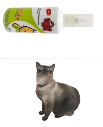 Arranhador de Gato / Protetor De Sofá ( 2 unidades) e 1 Cat Nip:Marrom - 2