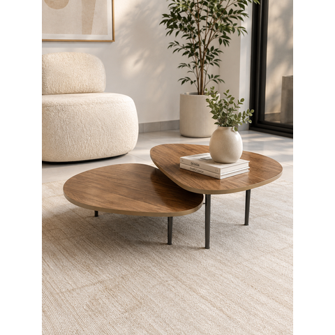 Conjunto com 2 Mesas de Centro Orgânica Pés de Aço Design Moderno