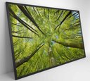 Ver imagem 3 de Quadro Árvores - 90x60 Cm - Adesivo Fotográfico