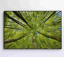 Ver imagem 7 de Quadro Árvores - 90x60 Cm - Adesivo Fotográfico