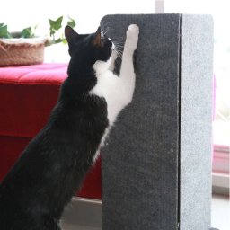 Refil de Carpete para Arranhador de Canto de Sofá ou Cama Box Hello Pet - 5