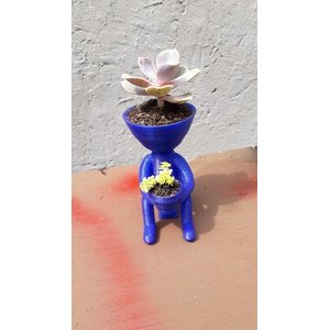 Vaso Decorativo - Robert Plant - Sentado na Privada - Impresso em 3D