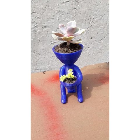 Vaso Decorativo - Robert Plant - Sentado na Privada - Impresso em 3D