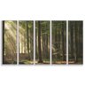 Kit 5 Quadros 90x150cm Coleção Zatiak Paisagem Floresta no Outono Canvas Flutuante Branca - Oppen Ho - 1
