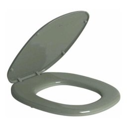 Assento Sanitário Plástico Deca Aspen Verde Ap.75.60 - 2 Assento Sanitário Plástico Deca Aspen Verde Ap.75.60 - 2