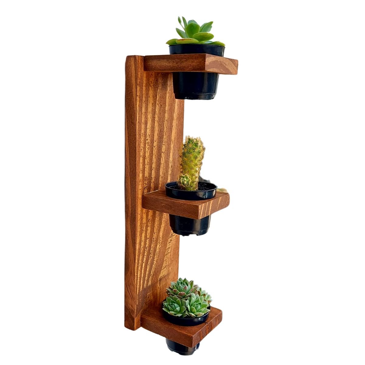 Jardim Vertical com Vasos para Suculentas - Horta Suspensa - 2