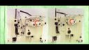 Ver imagem 3 de Galoneira 3 Agulhas, Semi Industrial- Bracob+ 50 Agulhas -110v