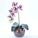 Ver imagem 1 de Arranjo de Orquídea Artificial Mesclada em Aquário Marina