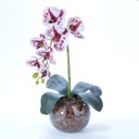 Ver imagem 3 de Arranjo de Orquídea Artificial Mesclada em Aquário Marina