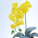 Ver imagem 2 de Arranjo de Orquídea Artificial Amarela em Aquário Giovana