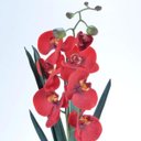 Ver imagem 2 de Arranjo de Orquídea Artificial Vermelha em Terrário Pequeno