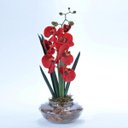 Ver imagem 3 de Arranjo de Orquídea Artificial Vermelha em Terrário Pequeno