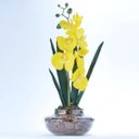 Ver imagem 1 de Arranjo de Orquídea Artificial Amarela em Terrário Pequeno