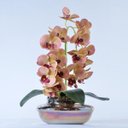 Ver imagem 1 de Arranjo com 2 Orquídeas Artificiais Outonadas Vaso Ambar