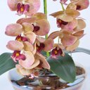 Ver imagem 3 de Arranjo com 2 Orquídeas Artificiais Outonadas Vaso Ambar