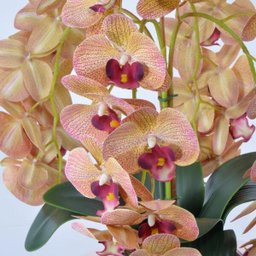 Arranjo 4 Orquídeas Artificiais Outonadas Vaso Rose Gold Lia - 2