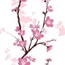 Papel De Parede Floral Fundo Branco Detalhes Em Rosa 10,0m - 2