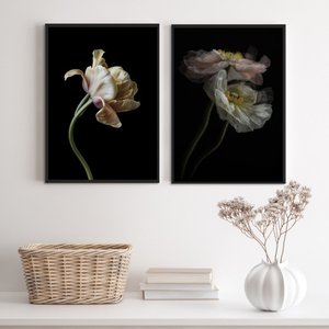 Kit 2 Quadros Flores Tons Bege Fundo Preto 45x34cm:madeira Preta