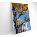 Ver imagem 7 de Quadro Ipê Amarelo Catedral Ao Fundo Decor&quadros Nat154 80x120 Cm Vidro Acrílico
