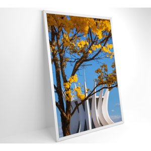 Quadro Ipê Amarelo Catedral Ao Fundo Decor&quadros Nat154 80x120 Cm Vidro Acrílico