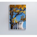 Ver imagem 4 de Quadro Ipê Amarelo Catedral Ao Fundo Decor&quadros Nat154 80x120 Cm Vidro Acrílico