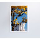 Ver mais imagens de Quadro Ipê Amarelo Catedral Ao Fundo Decor&quadros Nat154 80x120 Cm Vidro Acrílico